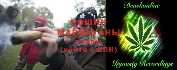 дурь Лабытнанги