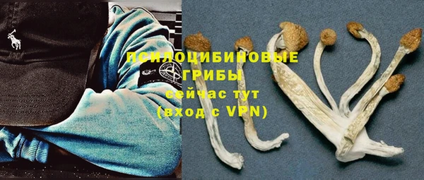 COCAINE Ладушкин