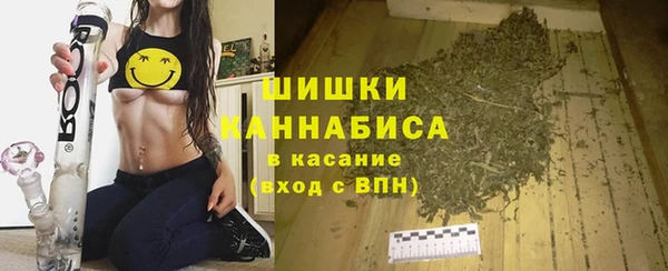дурь Лабытнанги